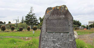 Cambria Park Camp Puhinui