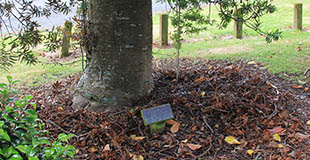 George & Mabel Proude