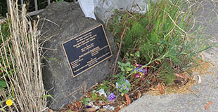 GT Sth Road Sylvia Park Bridge